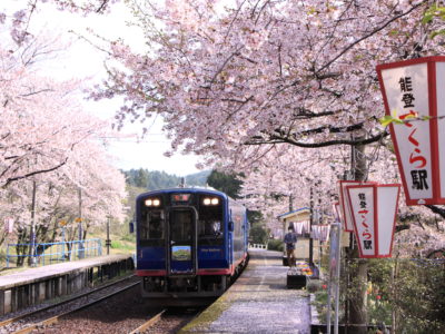花嫁のれんバスで行く！能登の桜をめぐる旅